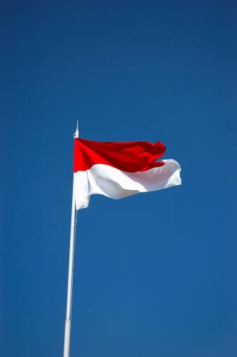 indonesian flag 2011. User; 20 Mar 2011, 07:47